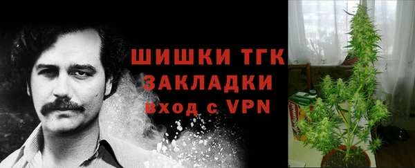 гашик Новокубанск