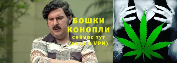 ECSTASY Новозыбков