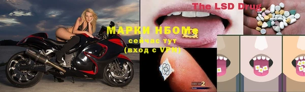 ECSTASY Новозыбков