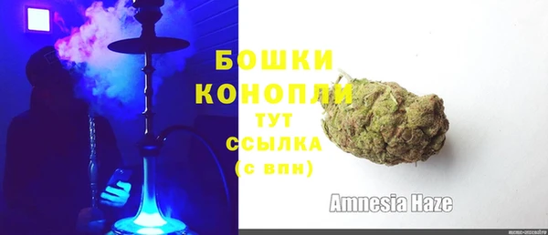 ECSTASY Новозыбков