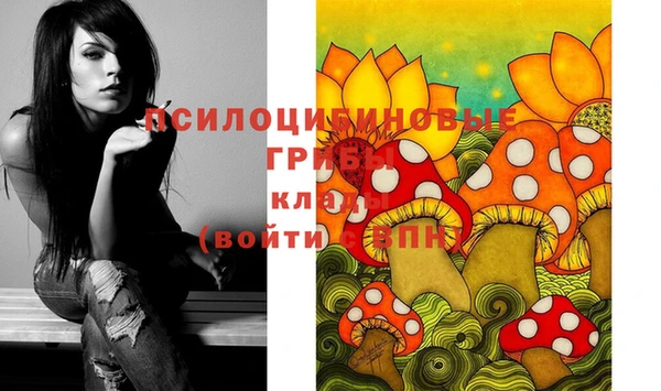 ECSTASY Новозыбков