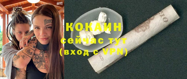 прущий лед Шали