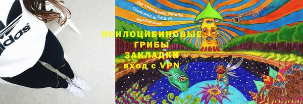 ECSTASY Новозыбков