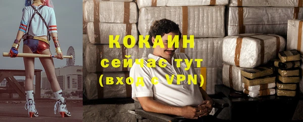 соль курить ск Новодвинск