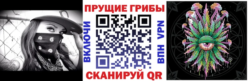 магазин продажи наркотиков  KRAKEN   Псилоцибиновые грибы Psilocybine cubensis  Починок 